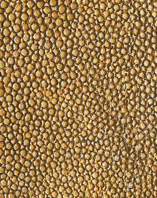 Sand Shagreen